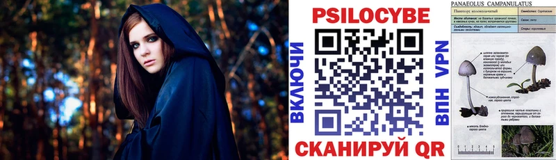 Купить  Кубинка  Галлюциногенные грибы GOLDEN TEACHER 
